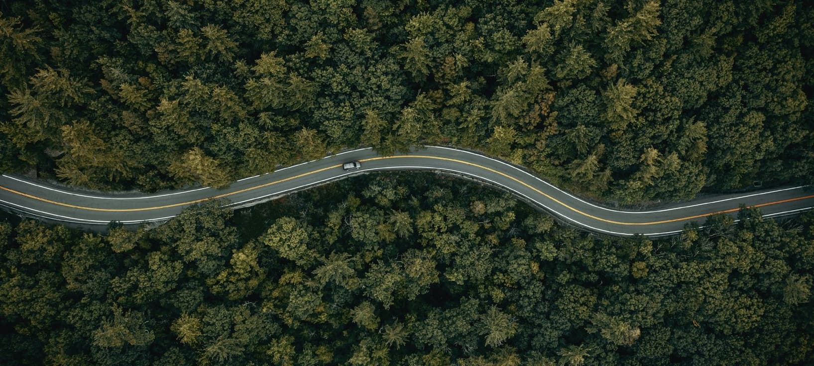 Aerial road through forest